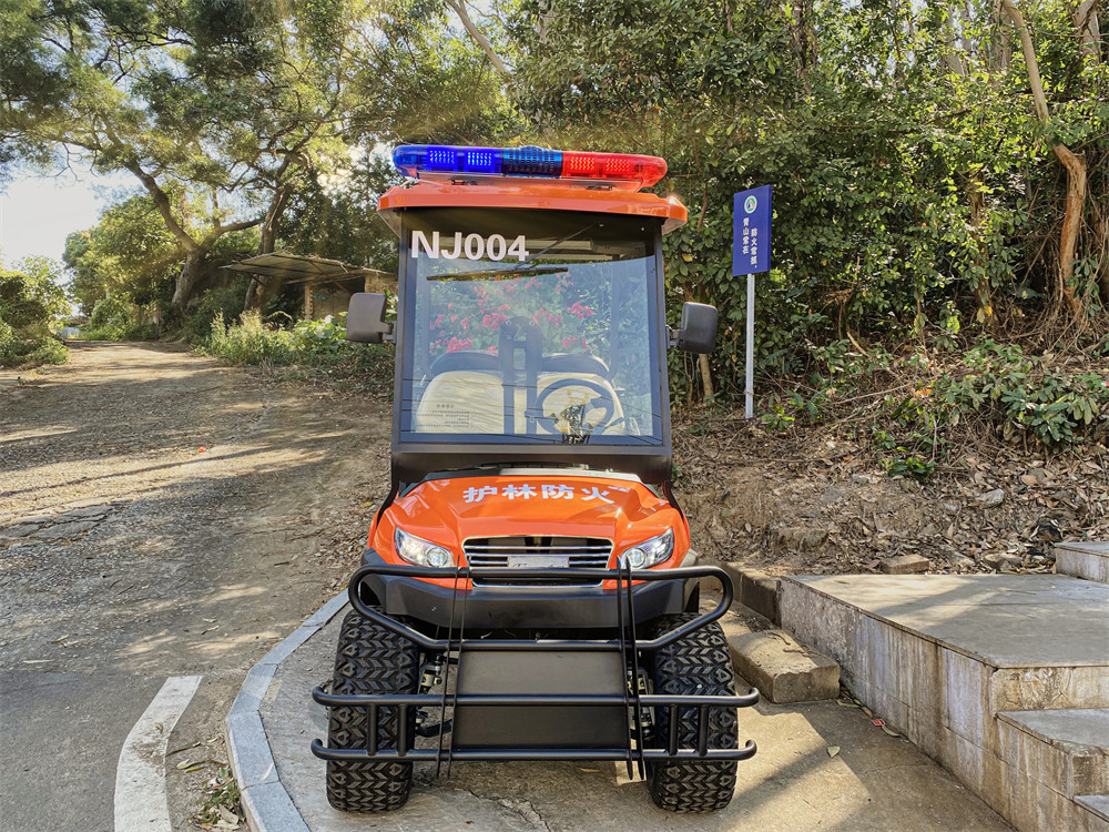 護(hù)林防火巡查車，電動巡邏車